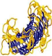 Beta-helix